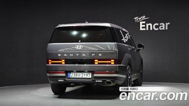 Hyundai Santa Fe 2025 — ფოტო 4/20