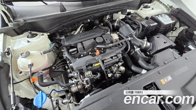 Kia Sportage 2024 — Şəkil 5/20