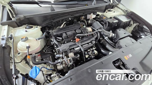 Kia Sportage 2023 — Şəkil 6/20