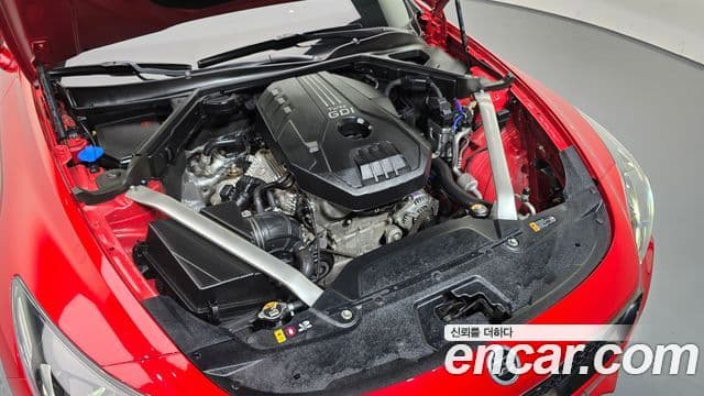 Kia Stinger 2019 — ფოტო 6/20