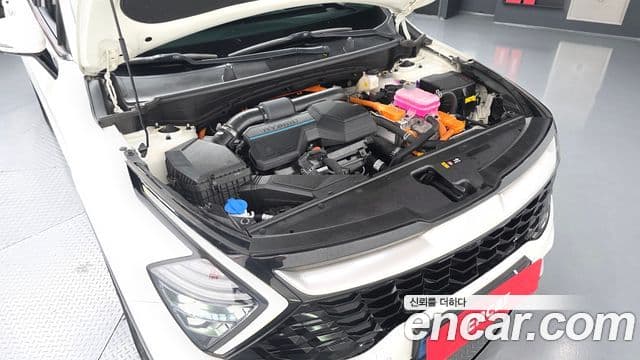 Kia Sportage 2023 — фото 6 из 20