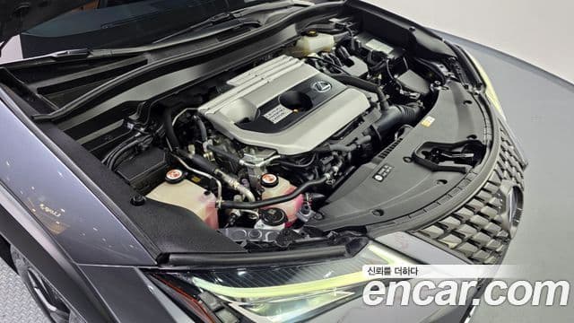 Lexus UX250h 2019 — ფოტო 6/20