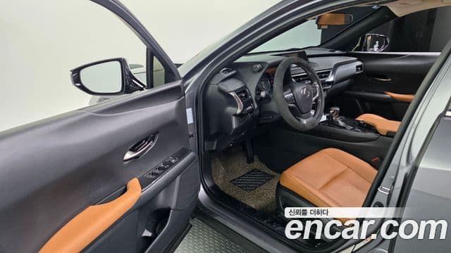 Lexus UX250h 2019 — ფოტო 10/20