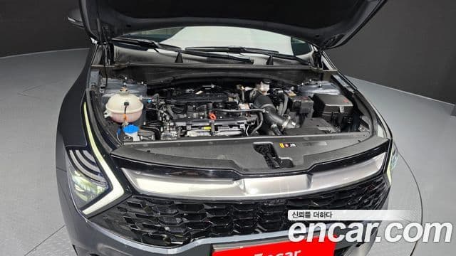 Kia Sportage 2024 — Şəkil 6/20