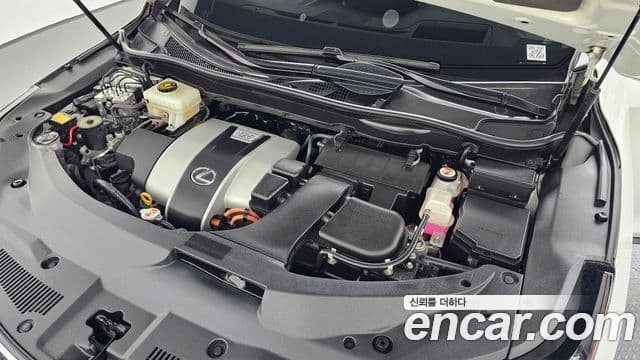 Lexus RX450h 2020 — ფოტო 6/20