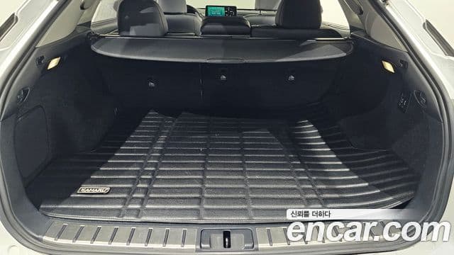 Lexus RX450h 2020 — ფოტო 17/20
