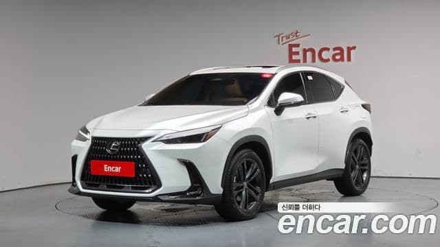 Lexus NX350h 2025 — Фото 1/20