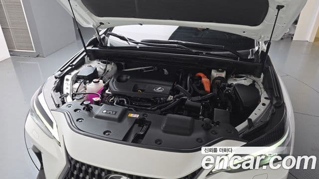 Lexus NX350h 2025 — Фото 6/20