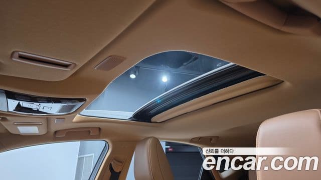 Lexus NX350h 2025 — Фото 19/20