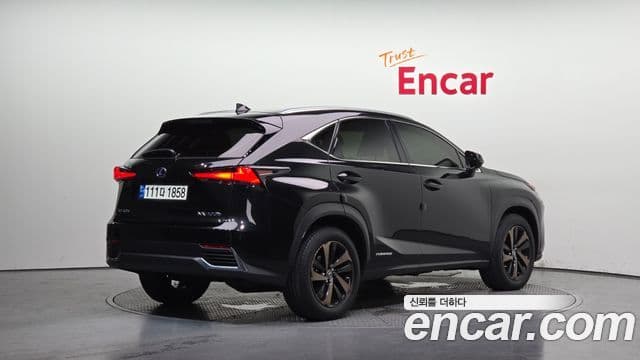 Lexus NX300h 2021 — Şəkil 2/20