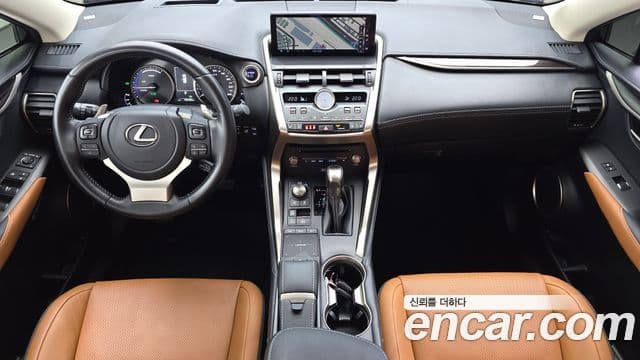Lexus NX300h 2021 — Şəkil 7/20