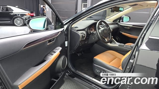 Lexus NX300h 2021 — Şəkil 10/20