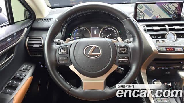 Lexus NX300h 2021 — Şəkil 16/20