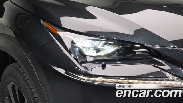 Lexus NX300h 2021 — Photo 13/38