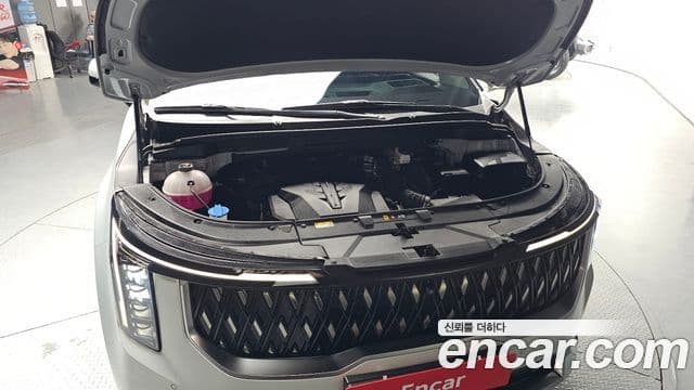 Kia Carnival 2024 — ფოტო 6/20