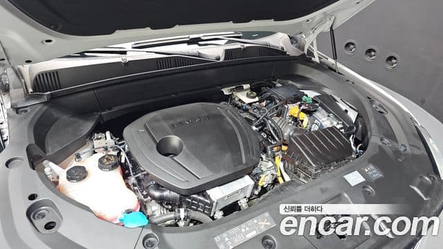 Renault Samsung Grand Koleos 2025 — Фото 6/20