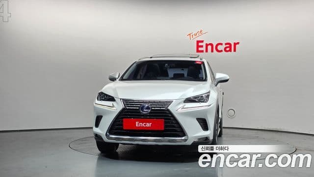 Lexus NX300h 2018 — Фото 3/20