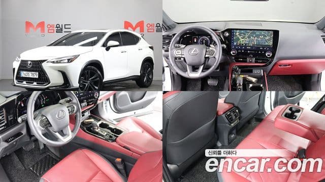 Lexus NX350h 2025 — Фото 10/20