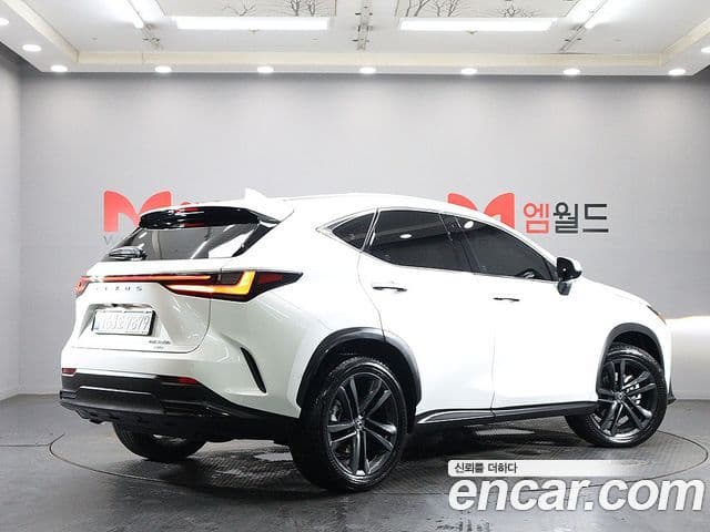 Lexus NX350h 2025 — Фото 1/20