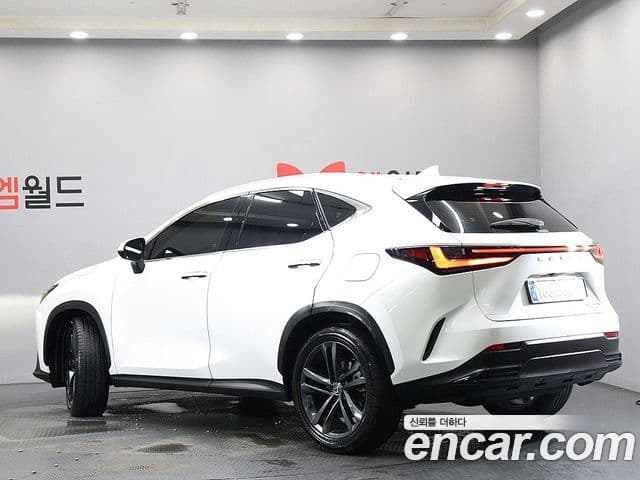 Lexus NX350h 2025 — Фото 3/20