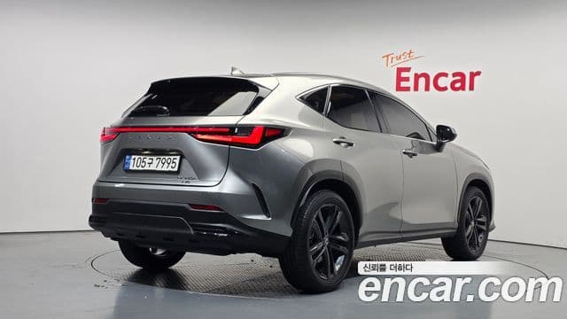 Lexus NX350h 2024 — ფოტო 14/31