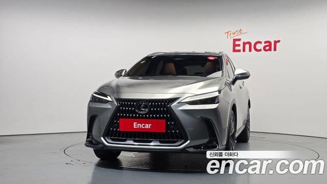 Lexus NX350h 2024 — ფოტო 4/31