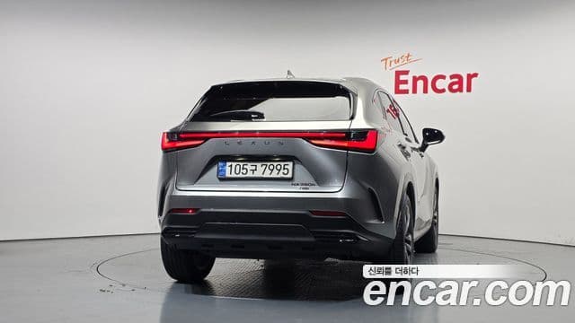 Lexus NX350h 2024 — ფოტო 7/31