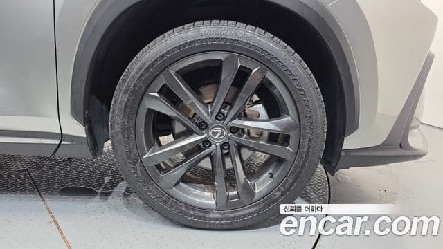 Lexus NX350h 2024 — ფოტო 17/31