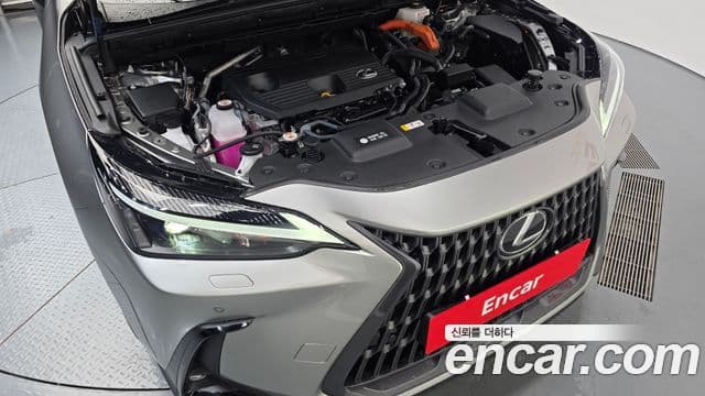 Lexus NX350h 2024 — ფოტო 23/31