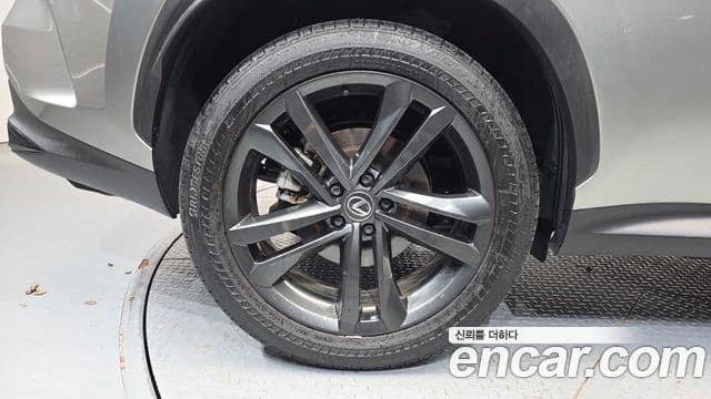 Lexus NX350h 2024 — ფოტო 10/31