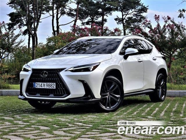 Lexus NX350h 2025 — ფოტო 2/20