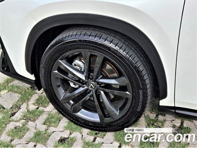 Lexus NX350h 2025 — ფოტო 20/20