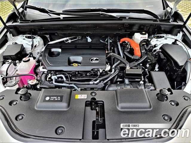 Lexus NX350h 2025 — ფოტო 11/20