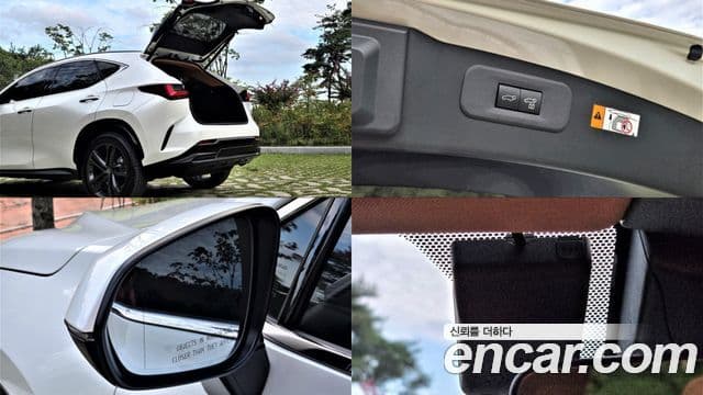 Lexus NX350h 2025 — ფოტო 1/20