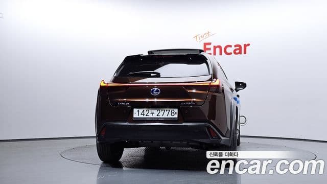 Lexus UX250h 2019 — ფოტო 4/20