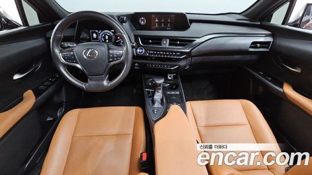 Lexus UX250h 2019 — ფოტო 7/20