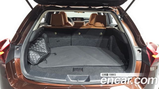 Lexus UX250h 2019 — ფოტო 20/20