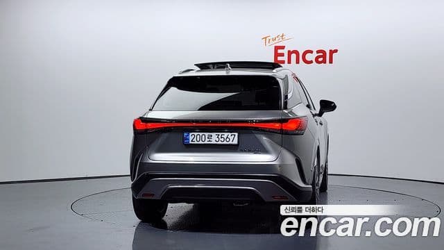 Lexus RX350h 2023 — Photo 12/20