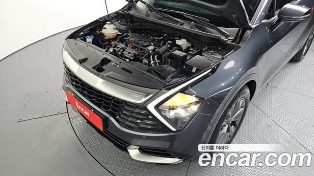 Kia Sportage 2021 — ფოტო 6/20