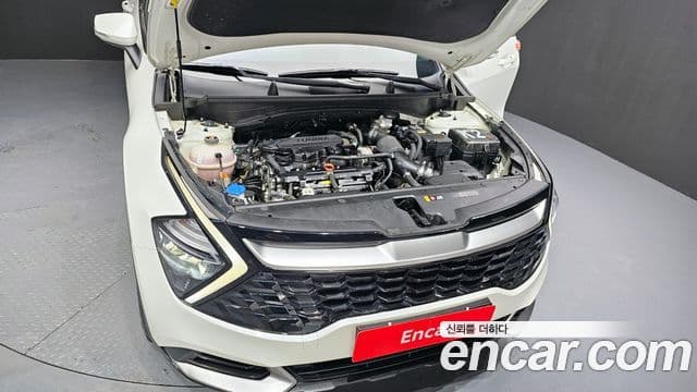 Kia Sportage 2024 — ფოტო 6/20