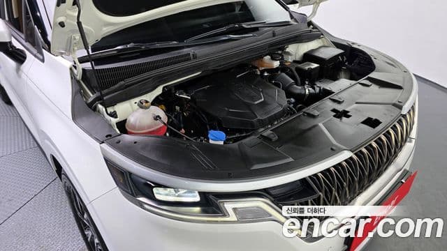 Kia Carnival 2022 — ფოტო 6/20