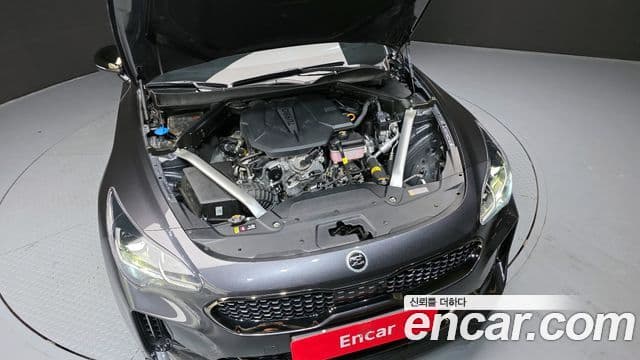Kia Stinger 2020 — ფოტო 6/20