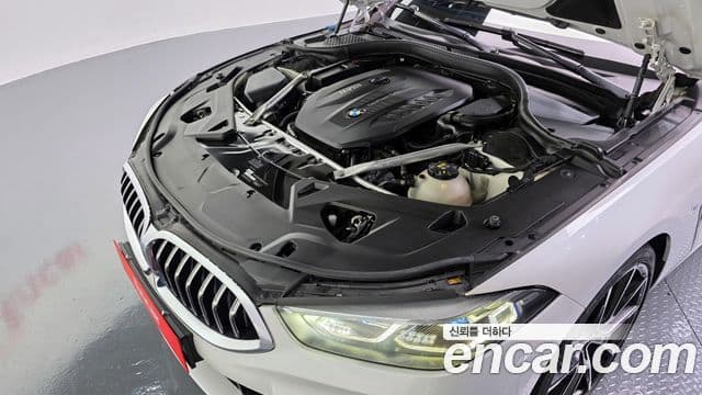 BMW 8 Series 2020 — Şəkil 6/20