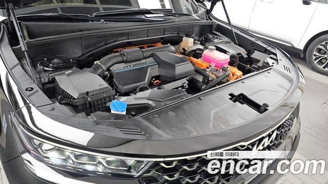 Kia Sorento 2022 — ფოტო 6/20