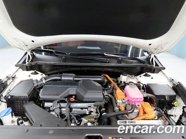 Kia Sportage 2022 — Şəkil 19/20