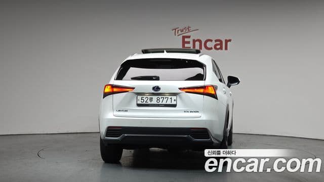 Lexus NX300h 2019 — Şəkil 4/20