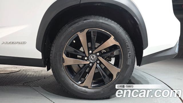 Lexus NX300h 2019 — Şəkil 5/20