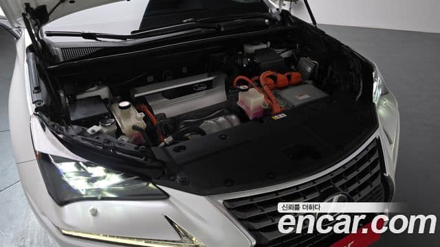 Lexus NX300h 2019 — Şəkil 6/20