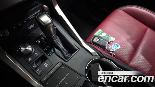 Lexus NX300h 2019 — Şəkil 9/20