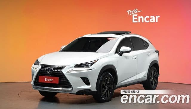 Lexus NX300h 2019 — Şəkil 1/20